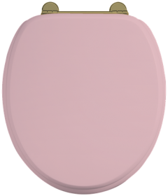 Сиденье с микролифтом для унитаза Burlington S54 PINK розовое матовое